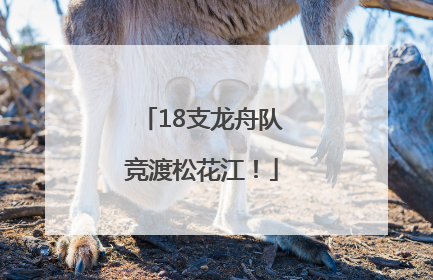 18支龙舟队竞渡松花江！