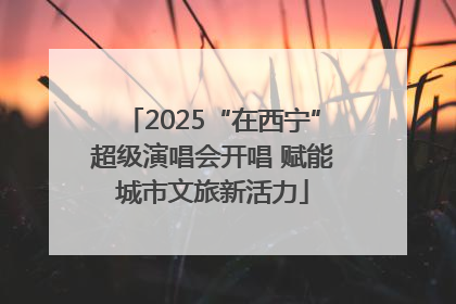 2025“在西宁”超级演唱会开唱 赋能城市文旅新活力