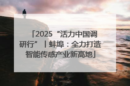 2025“活力中国调研行”丨蚌埠：全力打造智能传感产业新高地
