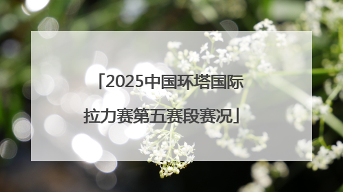 2025中国环塔国际拉力赛第五赛段赛况