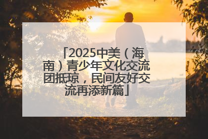 2025中美（海南）青少年文化交流团抵琼，民间友好交流再添新篇