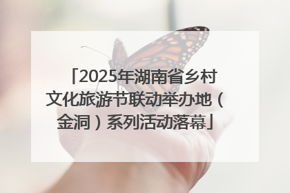 2025年湖南省乡村文化旅游节联动举办地（金洞）系列活动落幕