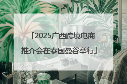 2025广西跨境电商推介会在泰国曼谷举行
