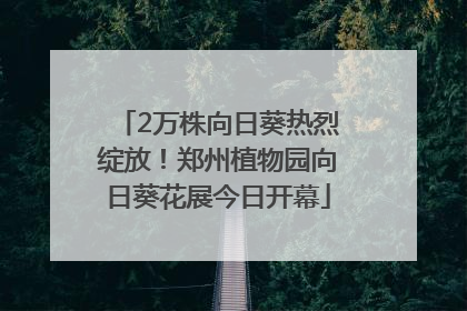 2万株向日葵热烈绽放！郑州植物园向日葵花展今日开幕
