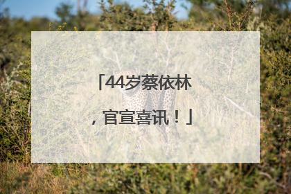 44岁蔡依林，官宣喜讯！