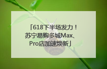 618下半场发力！苏宁易购多城Max、Pro店加速焕新