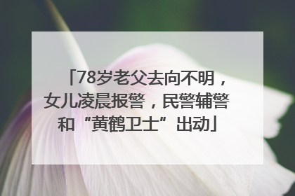 78岁老父去向不明，女儿凌晨报警，民警辅警和“黄鹤卫士”出动