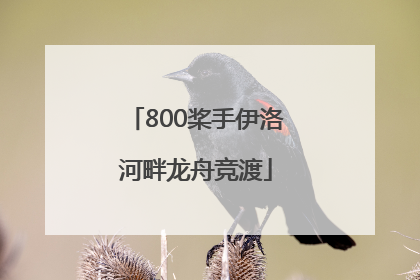800桨手伊洛河畔龙舟竞渡