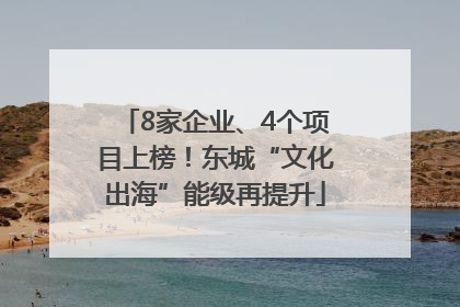 8家企业、4个项目上榜！东城“文化出海”能级再提升