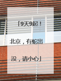 9天9起！北京，有蛇出没，请小心