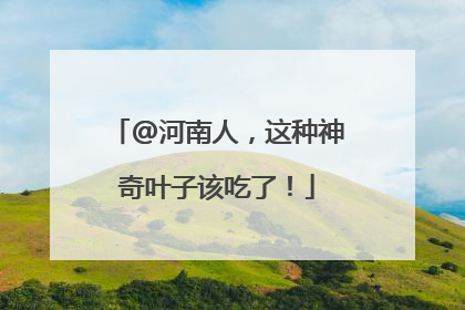@河南人，这种神奇叶子该吃了！