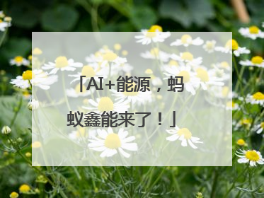 AI+能源，蚂蚁鑫能来了！