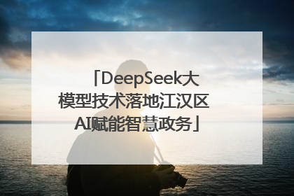DeepSeek大模型技术落地江汉区 AI赋能智慧政务
