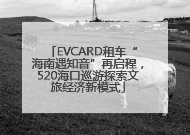EVCARD租车“海南遇知音”再启程，520海口巡游探索文旅经济新模式
