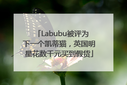 Labubu被评为下一个凯蒂猫，英国明星花数千元买到假货
